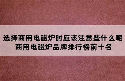 选择商用电磁炉时应该注意些什么呢 商用电磁炉品牌排行榜前十名